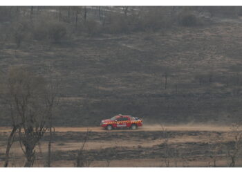 Nel Chaco finalmente da ieri piove e l'80% degli incendi spenti