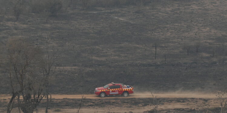 Nel Chaco finalmente da ieri piove e l'80% degli incendi spenti