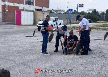 Procura dispone ispezione in 17 ditte consorzio Asi di Molfetta