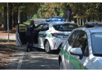 Nel Pavese intervengono la Polizia locale e i vigili del fuoco