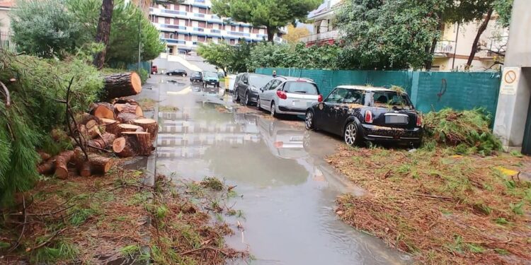 Temporaneamente chiusa la statale ad Arma di Taggia