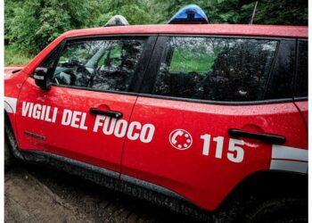 Decine di interventi dei vigili del fuoco