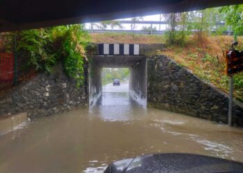 A Muggia è esondato il Rio Menariolo