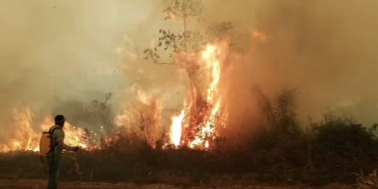 Gli incendi nella zona occidentale