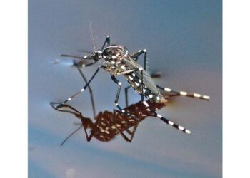 A Fano infettata donna incinta ricoverata al Salesi di Ancona