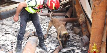 Le ha fiutate cane specializzato in sopralluogo nello showroom