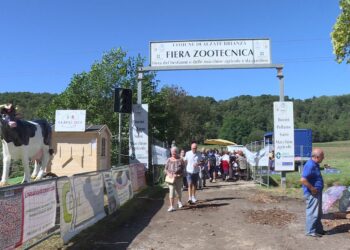 fiera zootecnica di Alzate