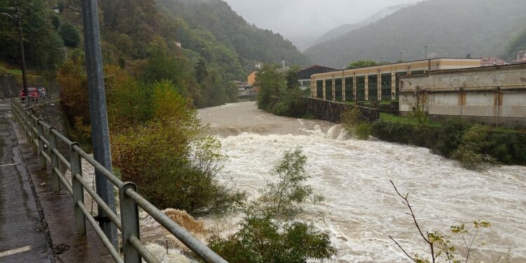 Vigili del fuoco e forze dell'ordine al lavoro