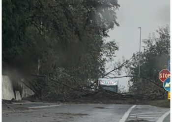 Formatesi voragini in più punti sulla viabilità cittadina