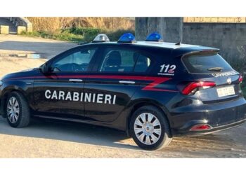 A colpi d'arma da fuoco. In corso le ricerche dei Carabinieri