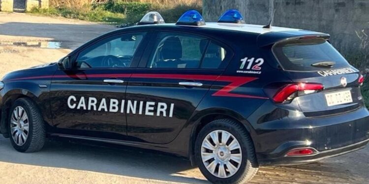 A colpi d'arma da fuoco. In corso le ricerche dei Carabinieri