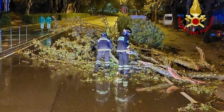 Piogge e mareggiate. Decreto allerta squadre Protezione civile