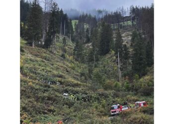 Incidente avvenuto a Costa (Badia) verso le 8