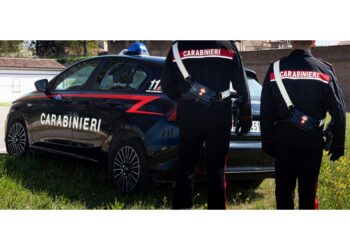 65enne sottrae il cibo per la cena