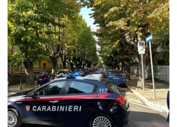 Trovato durante lavori. Sul posto artificieri dei Carabinieri