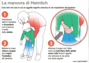 La madre infermiera gli aveva insegnato la 'manovra di Heimlich'