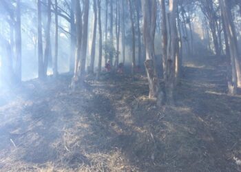 A fuoco una decina di edifici