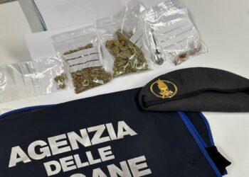 Valico di Como-Brogeda, i cani fiutano la droga