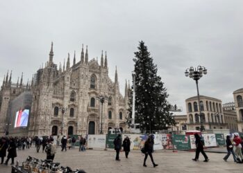 In piazza Duomo l'abete di 27 metri arrivato da Ponte di Legno