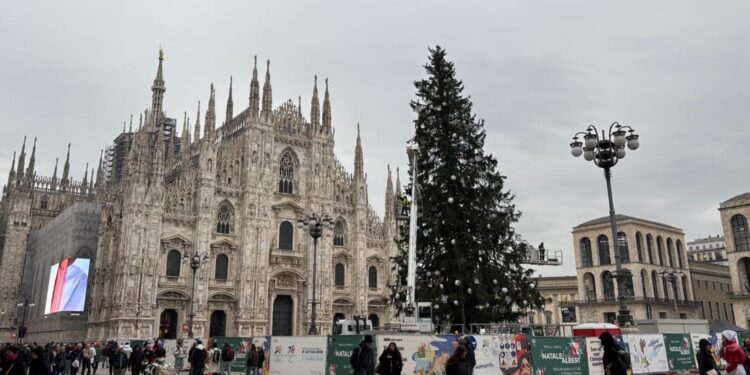 In piazza Duomo l'abete di 27 metri arrivato da Ponte di Legno