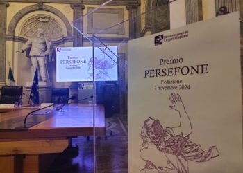 Per persone ed enti impegnati contro la violenza di genere