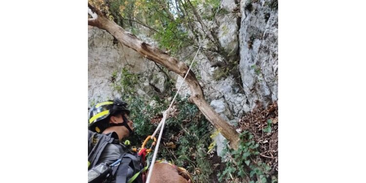 Intervento ancora in corso in Molise sui monti del Matese