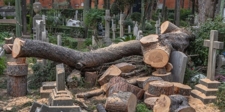 Per la riapertura dell'Acattolico a Roma avviata raccolta fondi