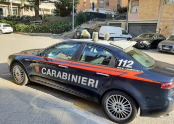 In corso le indagini dei carabinieri su quanto successo