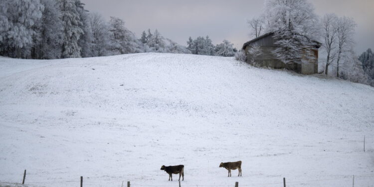 E' lo 'snow farm'