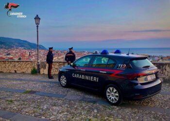 Operazione dei carabinieri nel Cosentino