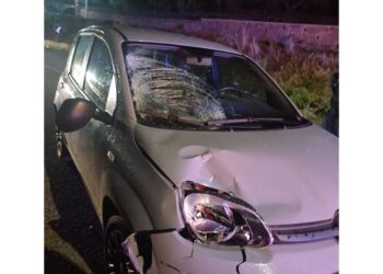 L'incidente nel Cosentino. Automobilista ha chiamato i soccorsi