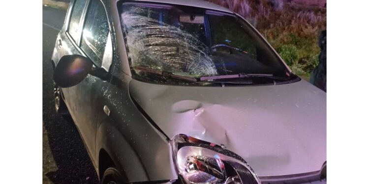 L'incidente nel Cosentino. Automobilista ha chiamato i soccorsi