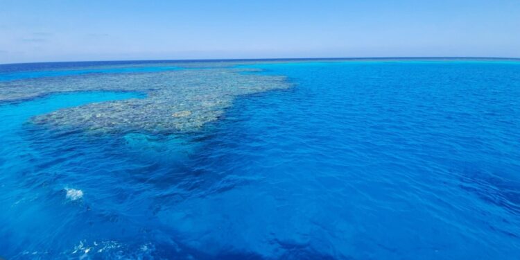 In Egitto al largo di Marsa Alam