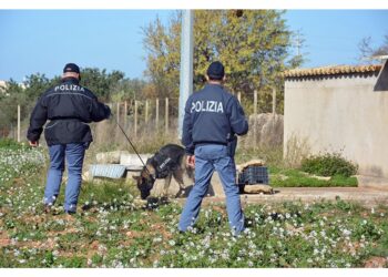 Polizia sospetta che il marito l'abbia uccisa nel Vicentino