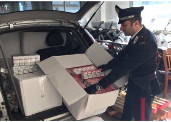 Operazione Gdf-Carabinieri e 11 polizie. A Bergamo una fabbrica