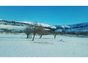 Oggi fiocchi previsti in prevalenza al Nord