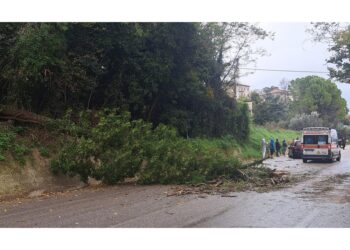 Incidenti nel Fermano