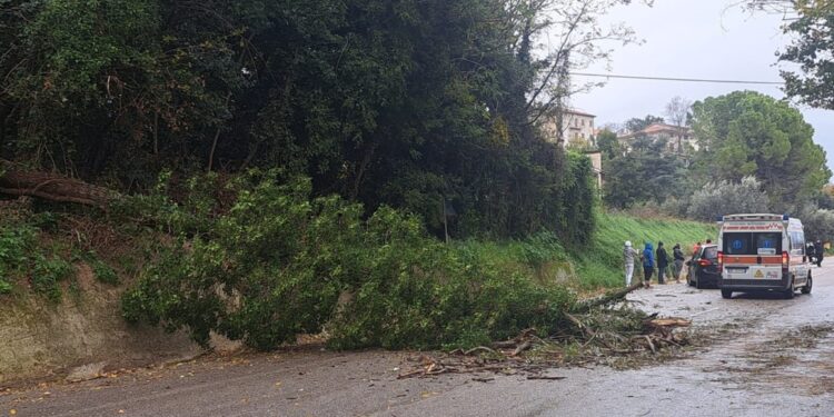 Incidenti nel Fermano