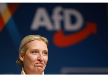 La leader Weidel: 'Il fallimento delle autorità è scioccante'