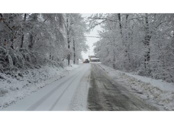 Accumuli di una ventina di centimetri dalla Romagna a Piacentino