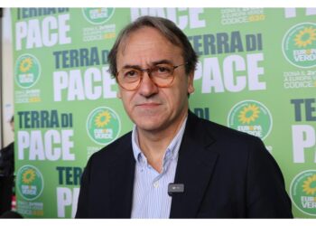 Co-portavoce Europa Verde a Dublino