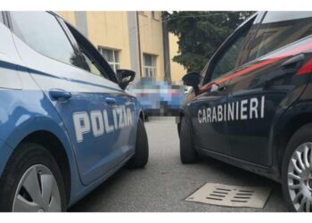 Operazione dei carabinieri e della Digos