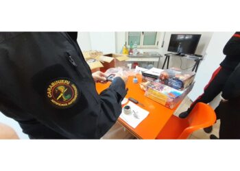 Carabinieri sequestrano quasi 5 chili di fuochi e droga