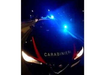 Operazione dei carabinieri anche in Calabria