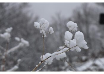 Nevicate diffuse sull'Appennino