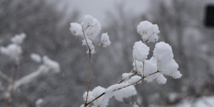 Nevicate diffuse sull'Appennino