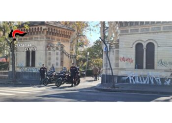 Sentenza del Tribunale per i minorenni di Catania