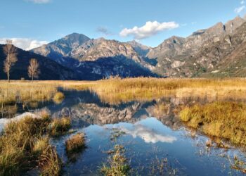 riserva naturale del pian di spagna e lago di mezzola