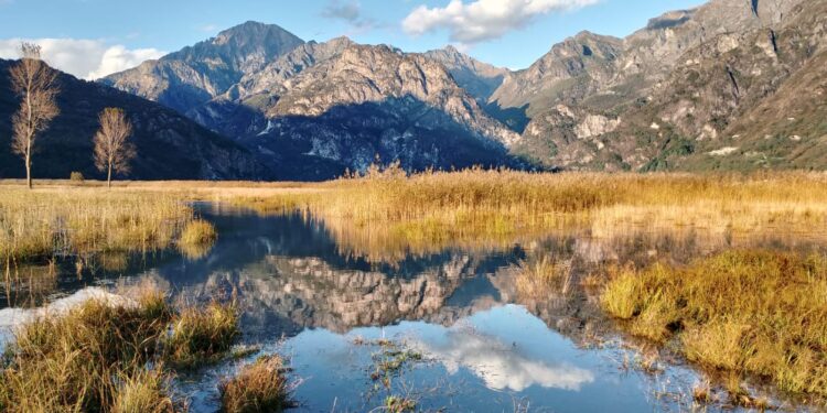 riserva naturale del pian di spagna e lago di mezzola