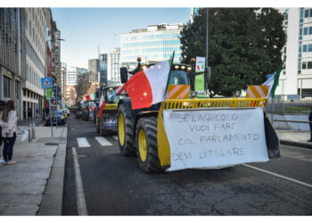 In piazza del Campidoglio.Il Coordinamento